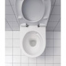Комплект инсталляции GEBERIT DUOFIX 458.124.21.1 с клавишей смыва Delta 21подвесным унитазом RENOVA 203050000 безободковый хром глянец и крышкой-сиденьем микролифт RENOVA 573025000 458.124.21.1-20305