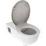 Подвесной унитаз GEBERIT RENOVA COMFORT 500.693.01.1 безободковый