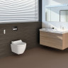 Унитаз-биде подвесной GEBERIT AQUACLEAN TUMA COMFORT 146.294.FW.1 панель нержавеющая сталь
